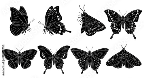Collection of monochrome butterflies and moths in various poses