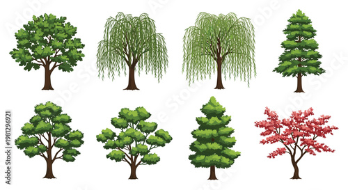 A detailed collection of eight distinct vector trees features intricate leaf textures, weeping willow branches, and a striking red maple against white.