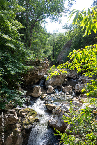Summer view of Erma River Gorge near town of Tran, Bulgaria