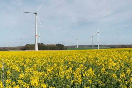 Wind turbines above yellow rapeseed field under blue sky, agricultural landscape with flowering crops and renewable energy infrastructure. Renewable energy, agriculture background, sustainability