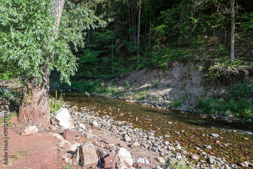 Summer view of Erma River Gorge near town of Tran, Bulgaria