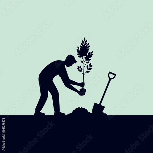 Man Planting Young Tree Sapling.