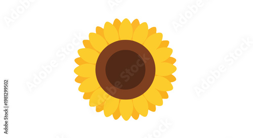 Bright yellow sunflower with a dark brown center isolated on a clean white background, symbolizing summer