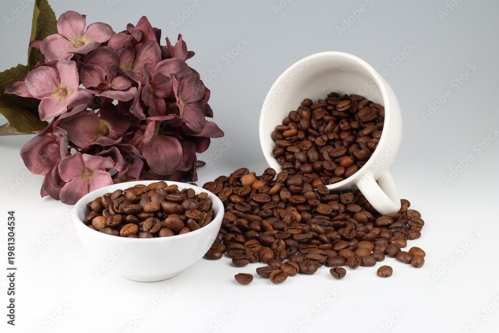 Fototapeta premium coffee beans and a hydrangea flower on a white background