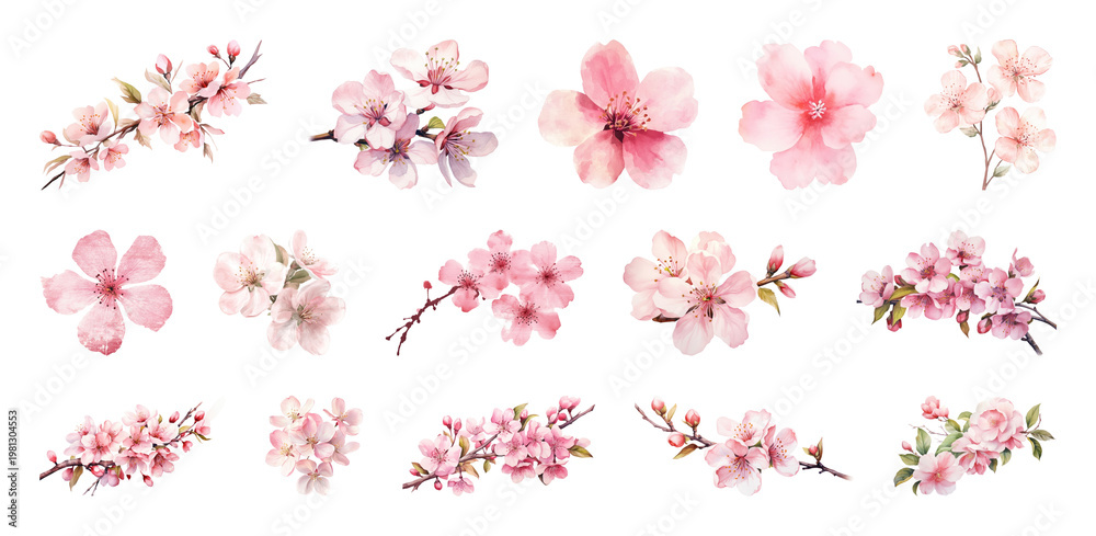 Obraz premium PNG Delicate watercolor cherry blossoms, transparent background