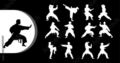 A collection of karate silhouettes in various fighting stances on a black background