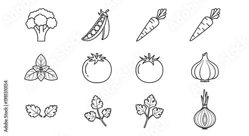 Collection of simple line art icons representing various fresh vegetables and herbs
