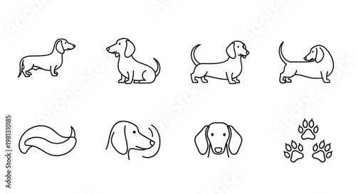 Collection of minimalist dachshund dog icons and paw prints in simple line art style