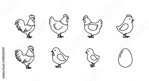 Collection of simple line art icons featuring chickens, roosters, chicks, and an egg
