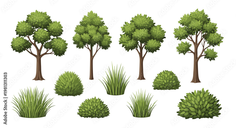 Fototapeta premium Selection of four distinct tree species and several clusters of wild grass and rounded shrubs featuring detailed leaf textures on a white background.