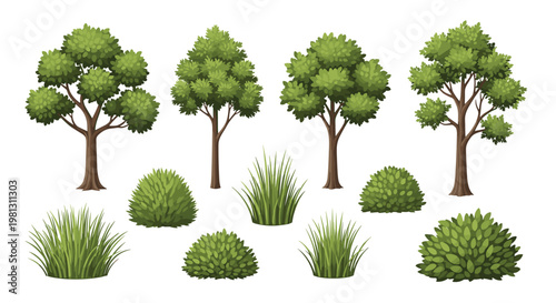 Selection of four distinct tree species and several clusters of wild grass and rounded shrubs featuring detailed leaf textures on a white background.