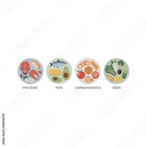 Macronutrients and fiber infographic icons in flat vector