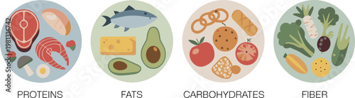Macronutrients and fiber infographic icons in flat vector