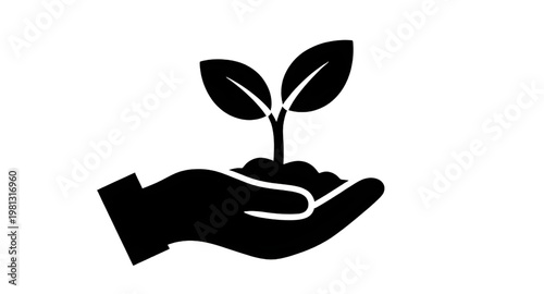 plant, environment, sustainability, growth, hand, leaf, nature, green, soil, care, eco, organic, seedling, support, nurture, earth, natural