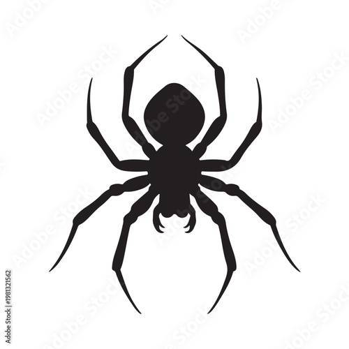 Baboon Spider Tarantula Silhouette Vector Illustration
