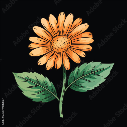 Single large orange daisy flower on black background vector illustration; vibrant botanical art with green leaves for summer decoration, badges, and floral branding