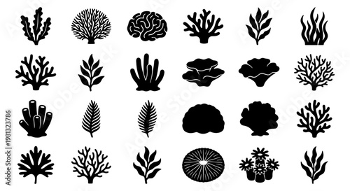 Black coral icons set, 24 underwater sea plant silhouettes, marine reef vegetation vector elements, aquatic seaweed and kelp illustrations