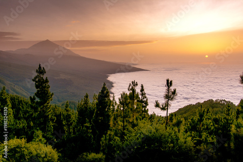 Sunset above sea of clouds Teide volcano pine forest Tenerife