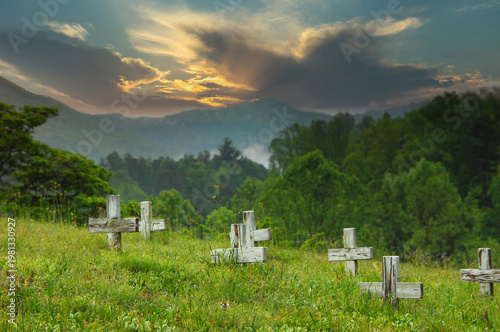 Wooden White Crosses Sit in Old Cemetery