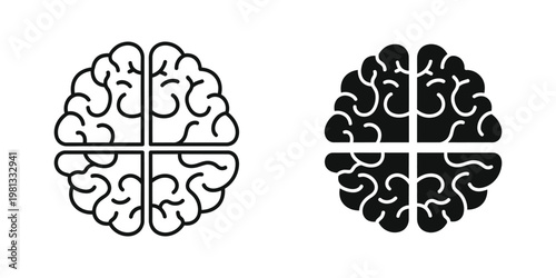 Contrast of human brain hemispheres in positive and negative visual styles