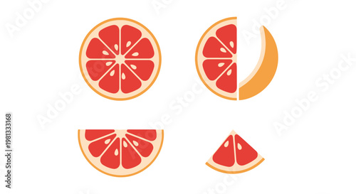 Grapefruit Slice Line art clean abstract colorful vector