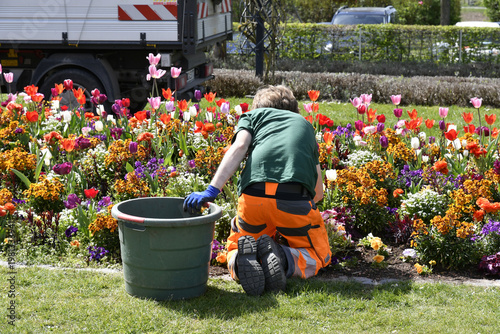 Wallpaper Mural frühling Torontodigital.ca