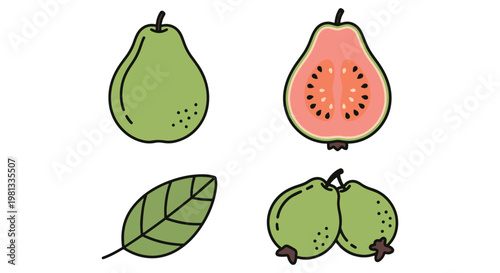 Guava Whole Plate Line art abstract colorful design vector