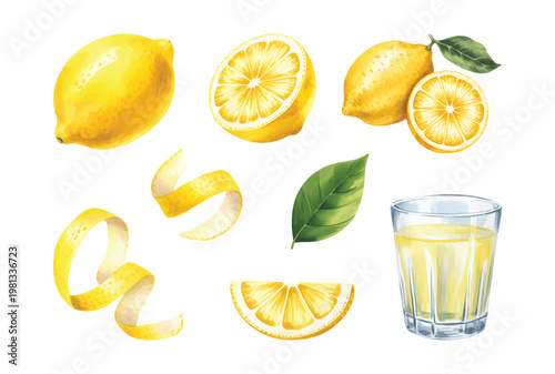 Lemon citrus composition with flowers slices glass and pitcher illustration isolated.