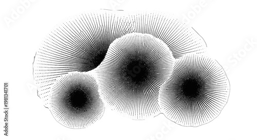 Black and white illustration of mushrooms.
