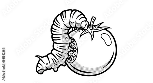 Illustration of a caterpillar eating a tomato.