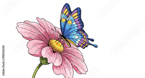 Beautiful butterfly resting on a pink flower petal.