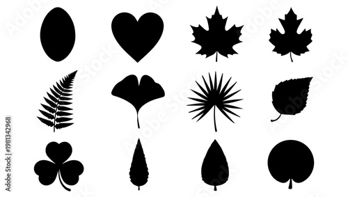 Black leaf icons in a set. plant and tree leaves. Leaves icon. Collection of green leaves. Elements design for natural, eco, bio, vegan labels. Vector illustration.