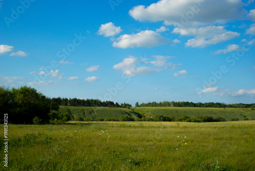 Open field with blue sky and clouds above green landscape in summer