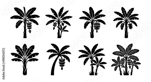 Tropical banana tree silhouettes, set of 8 black palm leaf vector icons, exotic fruit plant illustrations for summer vacation and botanical design