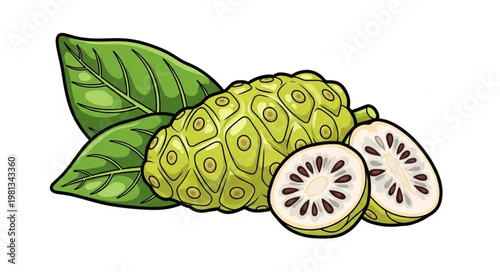 Fresh Noni Fruit with Leaves and Slices.
