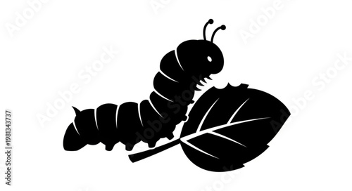 Black Silhouette of a Caterpillar Eating a Leaf.