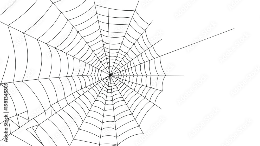 Obraz premium Realistic white spider web with fine intricate lines spread across the frame against a plain white background.