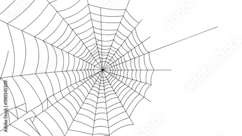 Realistic white spider web with fine intricate lines spread across the frame against a plain white background.
