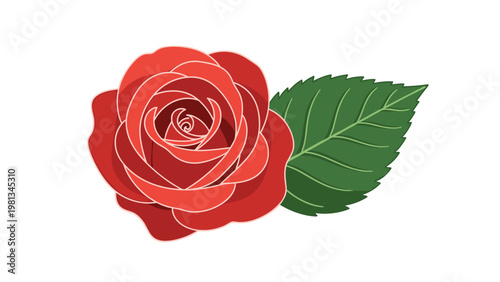 Exquisite red rose blossom with a single green leaf showing detailed petals and shading on a white background.