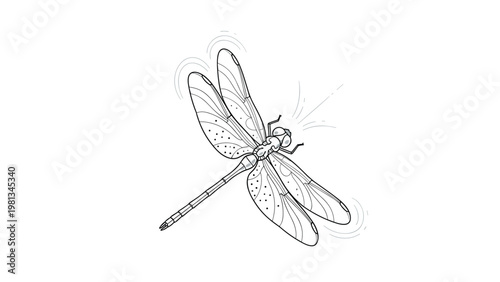 Detailed black and white sketch of a dragonfly showing its translucent wings with motion lines on a plain white background.
