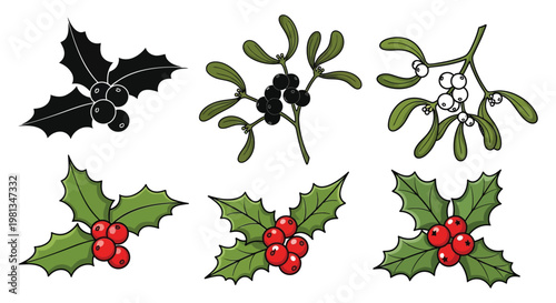 Holly and mistletoe illustrations with a striking black silhouette