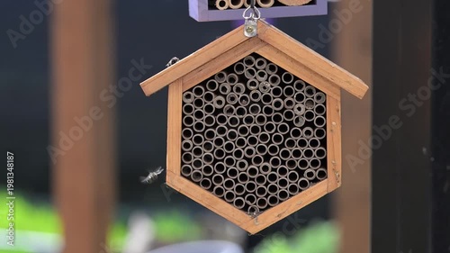 Close up of Mason Bee Nesting House Being Visited by Bees