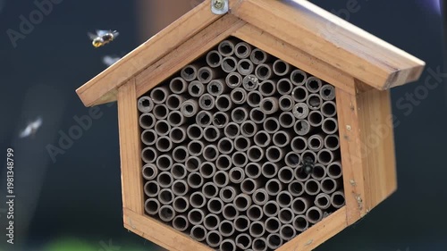 Close up of Mason Bee Nesting House Being Visited by Bees