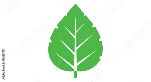 A vibrant green leaf illustration stands out against a clean white background presenting a botanical design