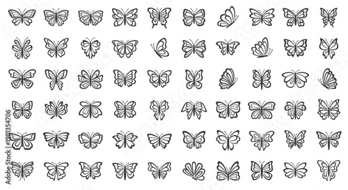 Collection of various butterfly illustrations.