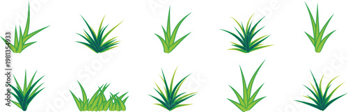 Green grass silhouette. Cartoon lines of plants and shrubs for boarding and framing, eco and organic logo element. Vector set spring field planting shapes lawn or borders garden on white background