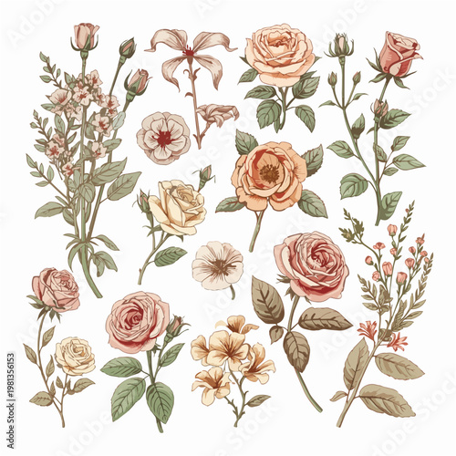 Set of hand-drawn blooming roses and wildflowers in vintage botanical vector style with pastel fills isolated on white
