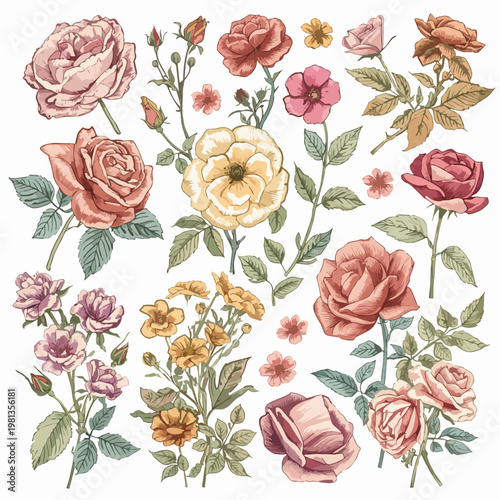 Set of hand-drawn blooming roses and wildflowers in vintage botanical vector style with pastel fills isolated on white