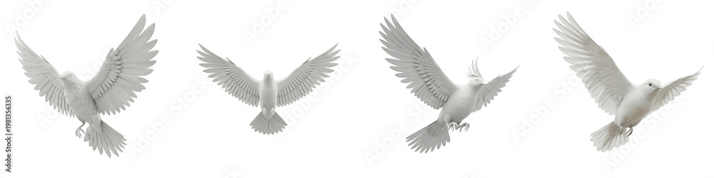 Fototapeta premium White Angel Wings and Bird Feathers - Spiritual Symbol of Freedom, Peace, and Purity for Creative Arts and Religious Design - Isolated Heavenly Wing Set PNG