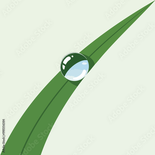 Close up of a dewdrop on a fresh green grass blade in morning light